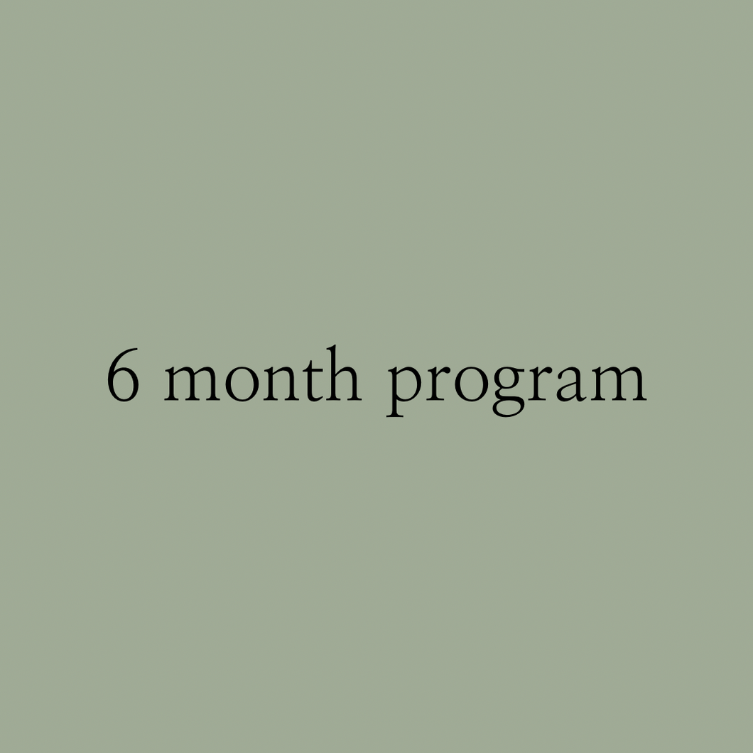 6 MONTH PROGRAM