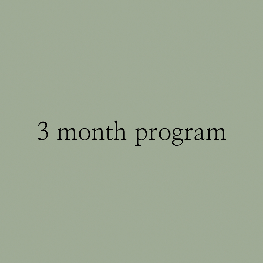 3 MONTH PROGRAM